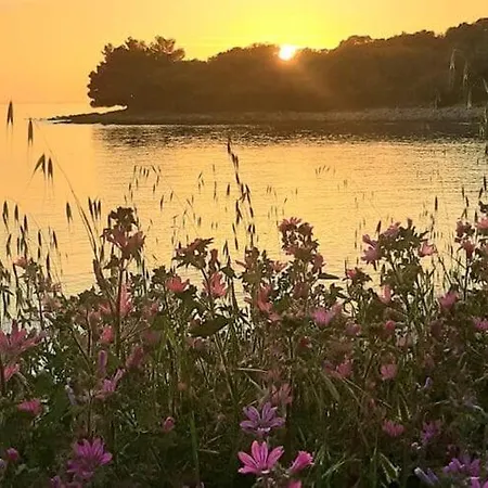 Casa Lorela In Sali, Island Dugi Otok *